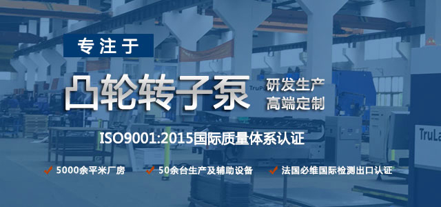 凸輪轉(zhuǎn)子泵生產(chǎn)廠家，專注于凸輪轉(zhuǎn)子泵的研發(fā)生產(chǎn)，高端定制